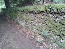 path-by-wall